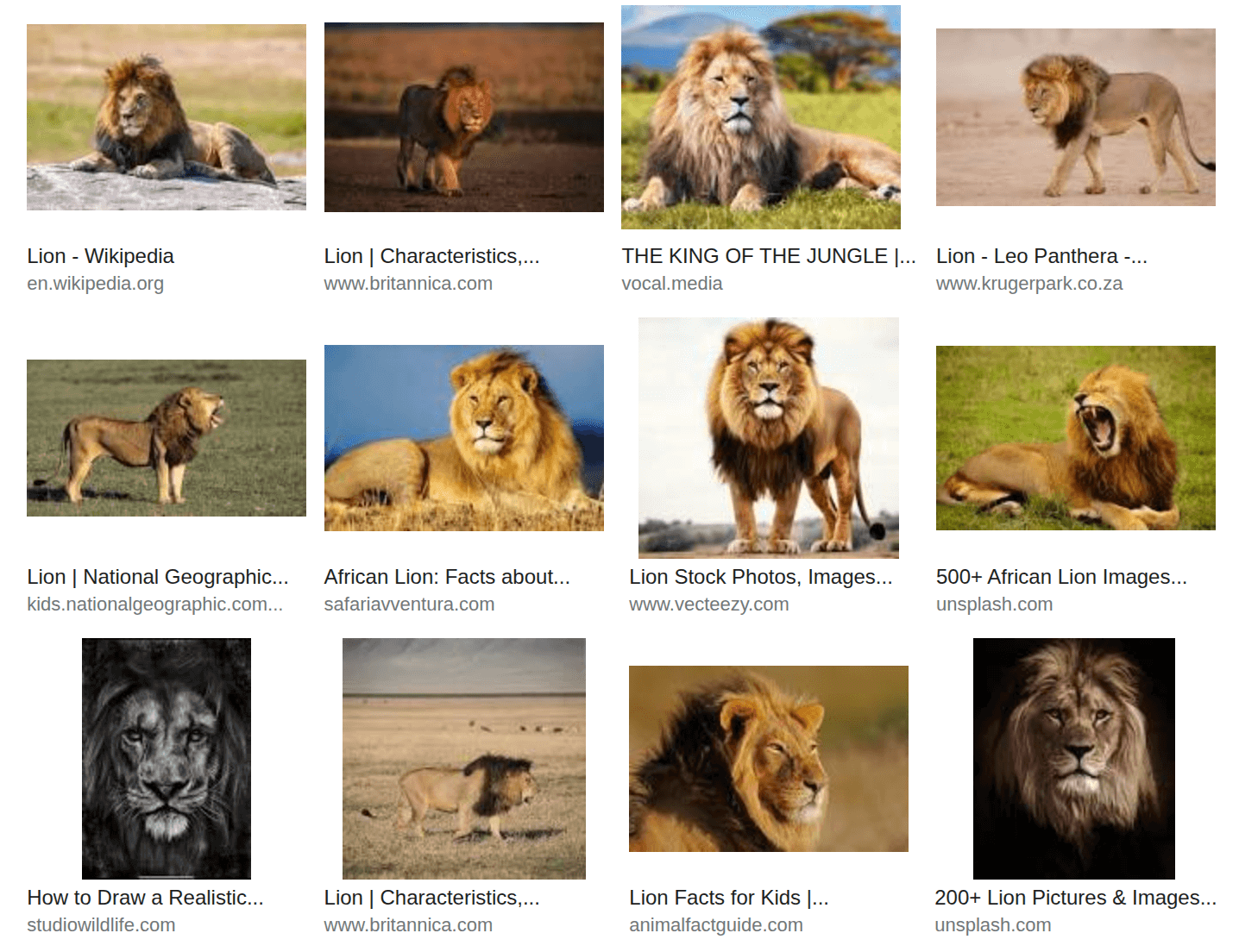 Google Images Light API